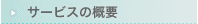 T[rX̊Tv